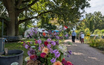 Open Dag in Bloementuin Sint Franciscus